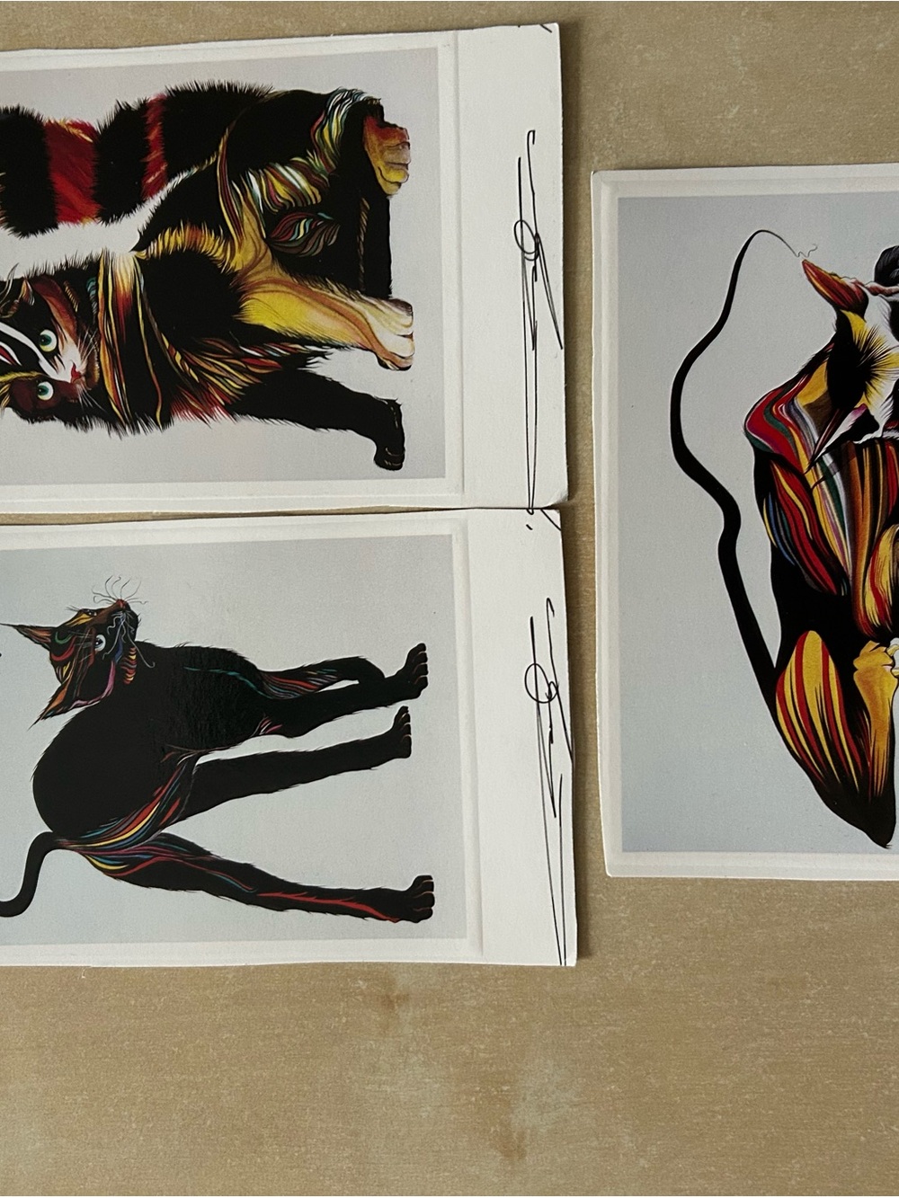 Black Abstract Cat Art Prints with Multicolor Accents - Home Art